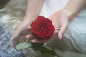 Rose rouge dans l'eau tenue par une main de femme sereine confiante et joyeuse