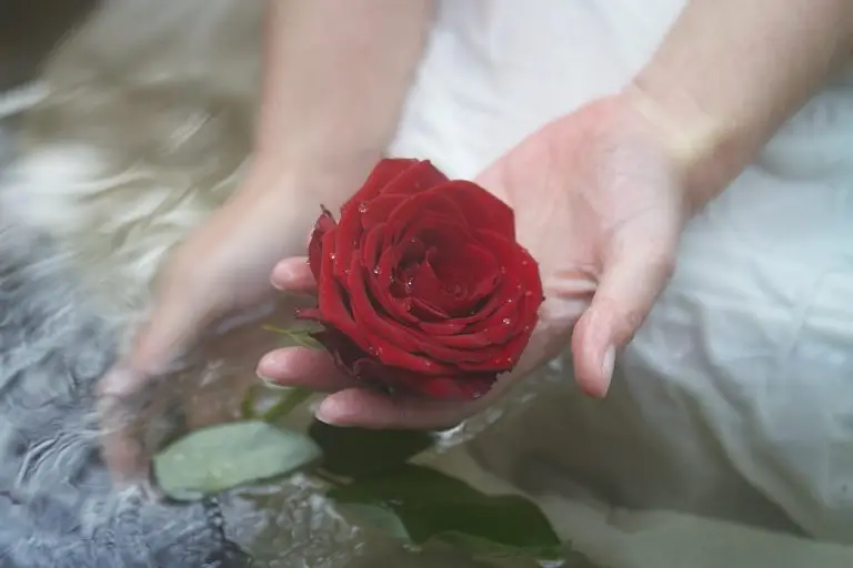 Rose rouge dans l'eau tenue par une main de femme sereine confiante et joyeuse